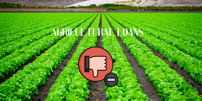  Agricultural Loans