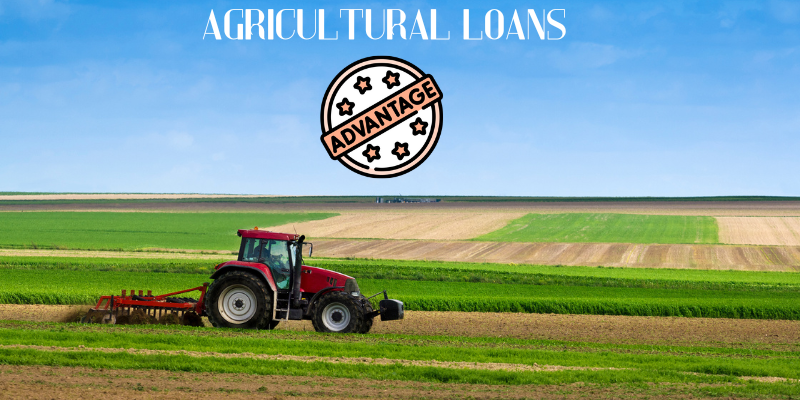  Agricultural Loans