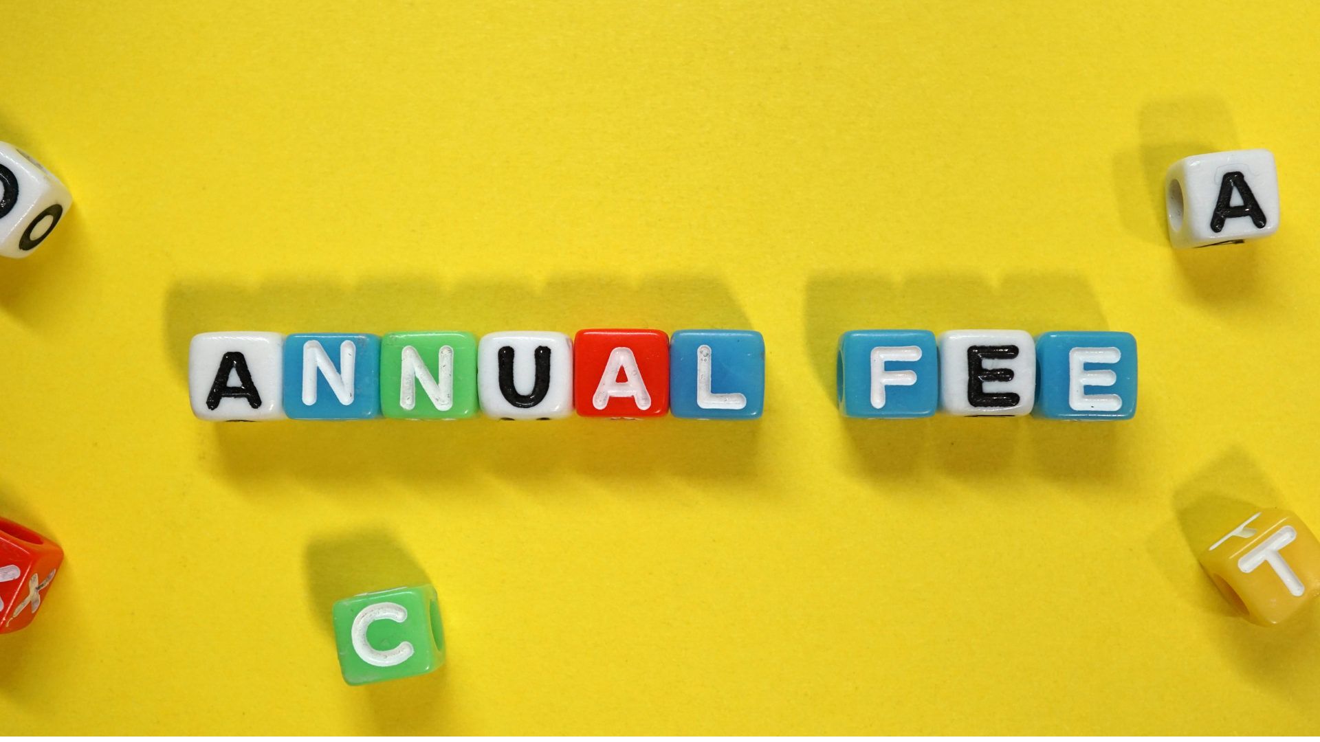 Annual Report Fees