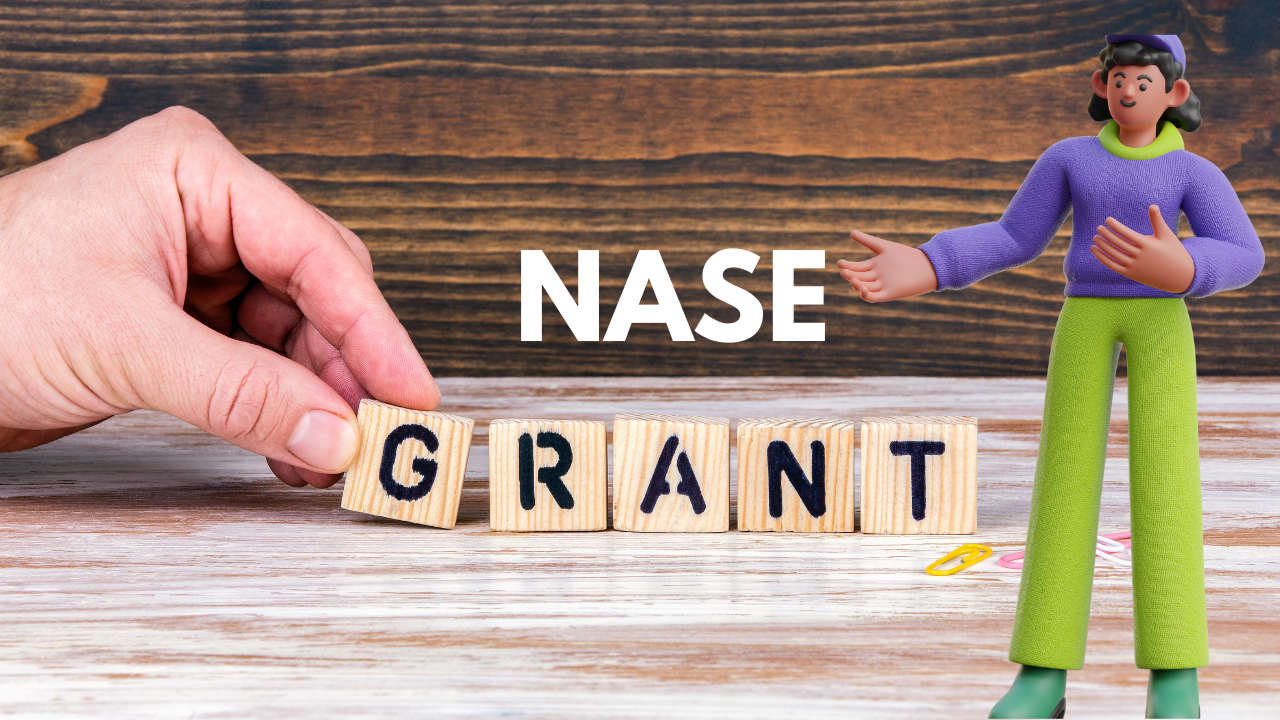 How the NASE grants were introduced?
